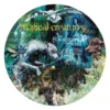 harry potter magical creatures - puzzle 500 pezzi