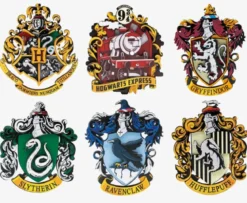 harry potter - magnete da costruire in legno - una casata a sorpresa