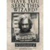 harry potter - poster maxi 91,5x61cm - wanted sirius black