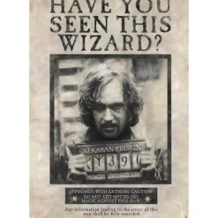 harry potter - poster maxi 91,5x61cm - wanted sirius black
