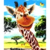 hey there! - diamond dotz intermediate dd10.011 42x52cm
