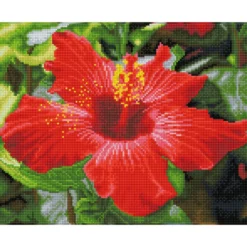 hibiscus in bloom - diamond dotz squares dq8.018 41x32cm