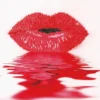 hot lips - diamond dotz intermediate dd5.003 30x30cm