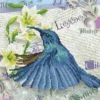 hummingbird travels - diamond dotz intermediate dd5.053 30,5x30,5cm