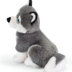 husky marcus - peluche 30cm