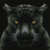 if looks could kill - diamond dotz squares dq8.021 35x35cm