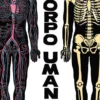 il corpo umano. ediz. a colori