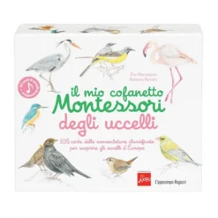 il mio cofanetto montessori degli uccelli