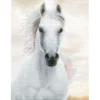 imperial stallion - diamond dotz intermediate dd10.026 48x65cm