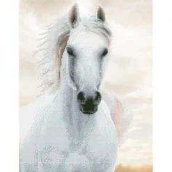 imperial stallion - diamond dotz intermediate dd10.026 48x65cm