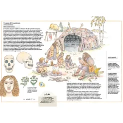 inventario illustrato della preistoria. ediz. a colori