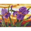 iris sunset - diamond dotz intermediate dd9.016 50.8x40.6cm