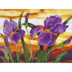 iris sunset - diamond dotz intermediate dd9.016 50.8x40.6cm