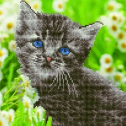 kitten - diamond dotz intermediate 50455 30,48x30,48cm