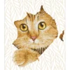 kitten peek - diamond dotz intermediate dd7.052 37x45 cm