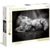 kitty - puzzle 1000 pezzi high quality collection