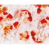 koi carp - diamond dotz advanced dd15.011 150x65cm