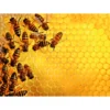 l'alveare challenge - puzzle 1000 pezzi