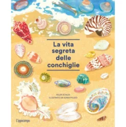 la vita segreta delle conchiglie. album scoperte