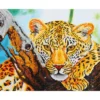 leopard look - diamond dotz intermediate dd7.002 45.7x35.5cm
