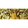 leopard spy - diamond dotz intermediate dd5.028 42x15cm