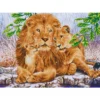 lion family - diamond dotz advanced dd13.017 77x55cm