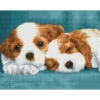 little champs - diamond dotz squares dq8.014 41x31cm
