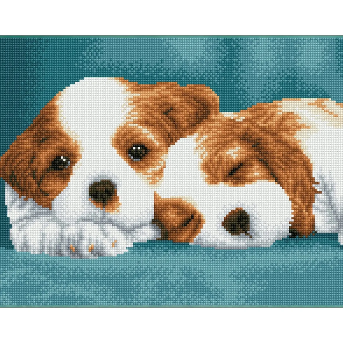 little champs - diamond dotz squares dq8.014 41x31cm