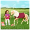 lori - saddle up horse set