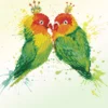love birds - diamond dotz intermediate dd5.075 32x32cm