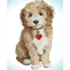 lovely boy - diamond dotz intermediate dd6.007 32x42cm