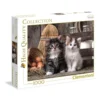 lovely kittens - puzzle 1000 pezzi high quality collection
