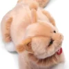 maine coon vittorio - peluche 34cm