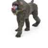 mandrill