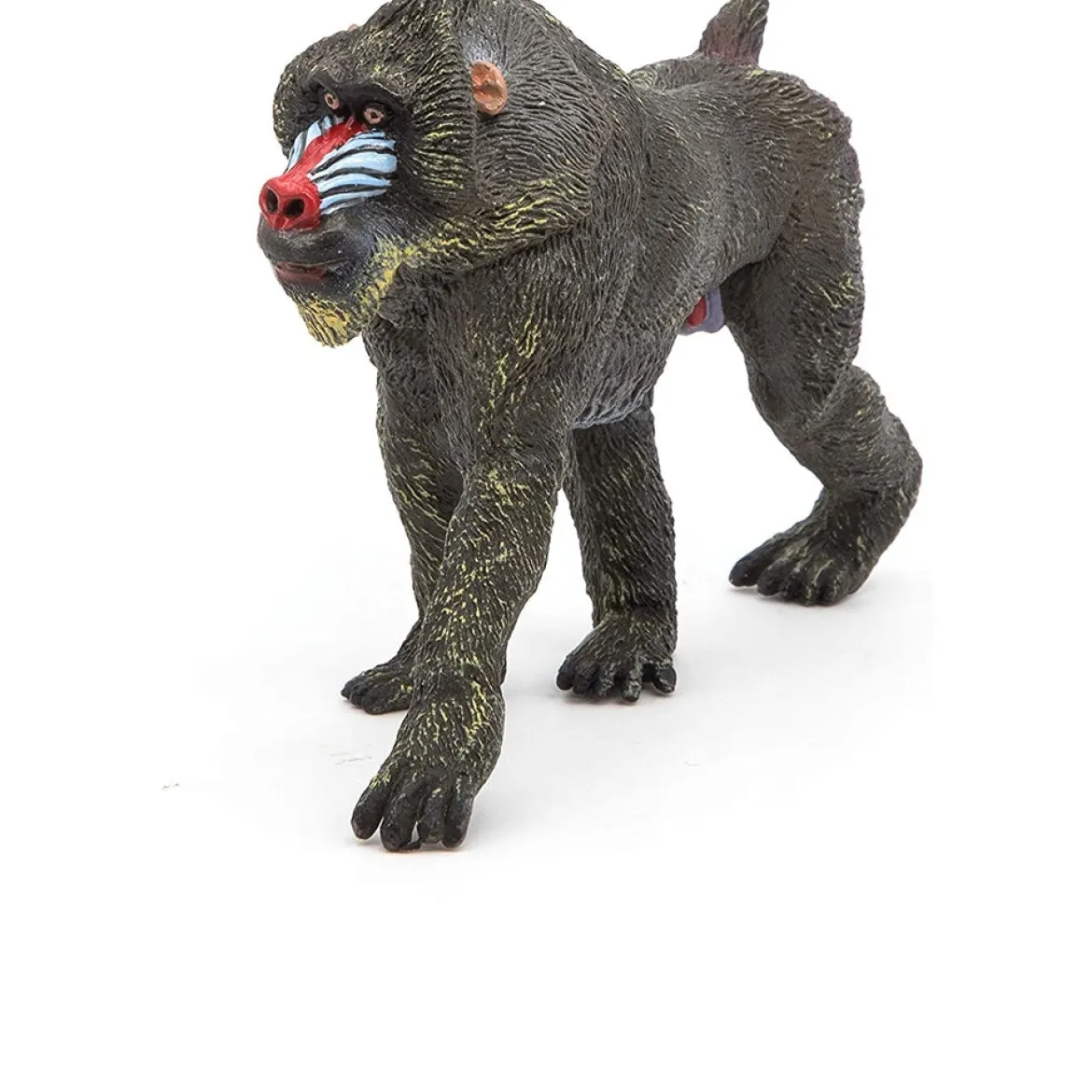 mandrill