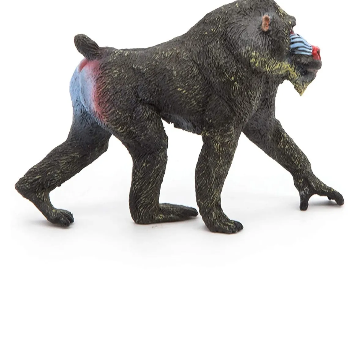 mandrill