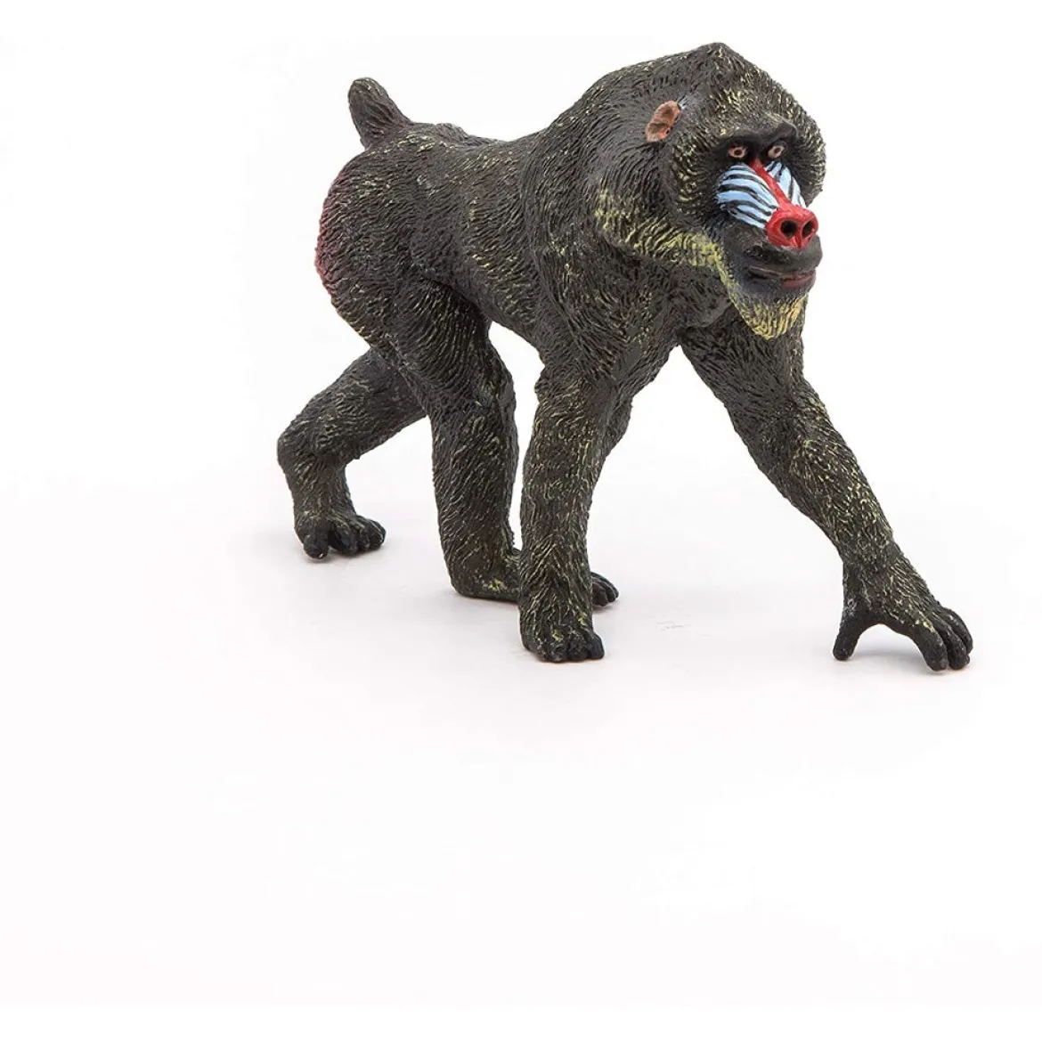 mandrill