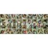 michelangelo: volta della cappella sistina - puzzle 1000 pezzi
