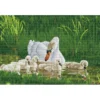 mother swan and signets - diamond dotz intermediate dd12.058 62x41cm