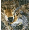 muzzle nuzzle - diamond dotz intermediate dd10.024 42x47cm