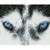 mystic husky - diamond dotz squares dq7.004 26x21cm
