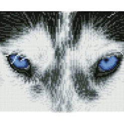mystic husky - diamond dotz squares dq7.004 26x21cm