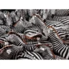 national geographic - zebre - puzzle 1000 pezzi