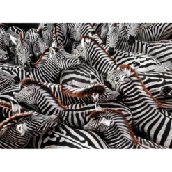 national geographic - zebre - puzzle 1000 pezzi