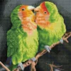 nick and lucy - diamond dotz squares dq10.014 41x41cm