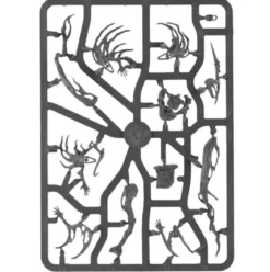 nighthaunt spirit hosts