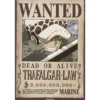 one piece - poster maxi 91,5x61cm - wanted law wano