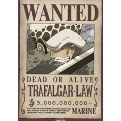 one piece - poster maxi 91,5x61cm - wanted law wano