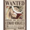 one piece - poster maxi 91,5x61cm - wanted whitebeard