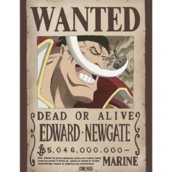 one piece - poster maxi 91,5x61cm - wanted whitebeard